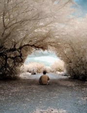 couples counseling, psychotherapy, communication, divorce counseling, depression, marriage counseling burlington, premarital counseling