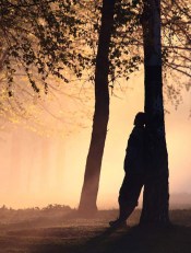 couples counseling, marriage counseling, marriage counselor, psychotherapy, couples counselor, premarital counseling, online counseling, vermont couples counseling, marriage counseling burlington, skype counseling, infidelity, divorce counseling, individual psychotherapy, affordable counseling